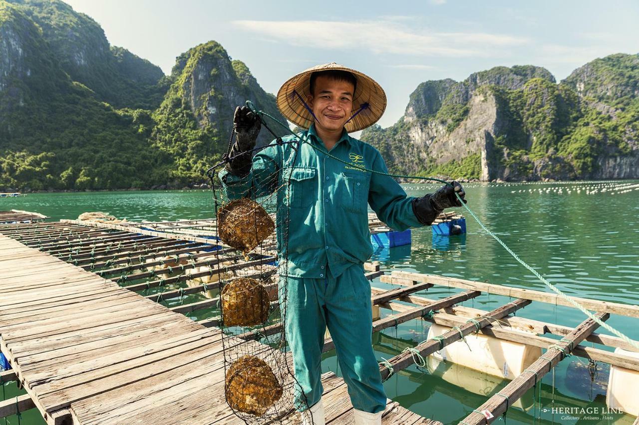 Heritage Line Violet Cruise - Halong Bay & Lan Ha Bay Халонг Екстер'єр фото